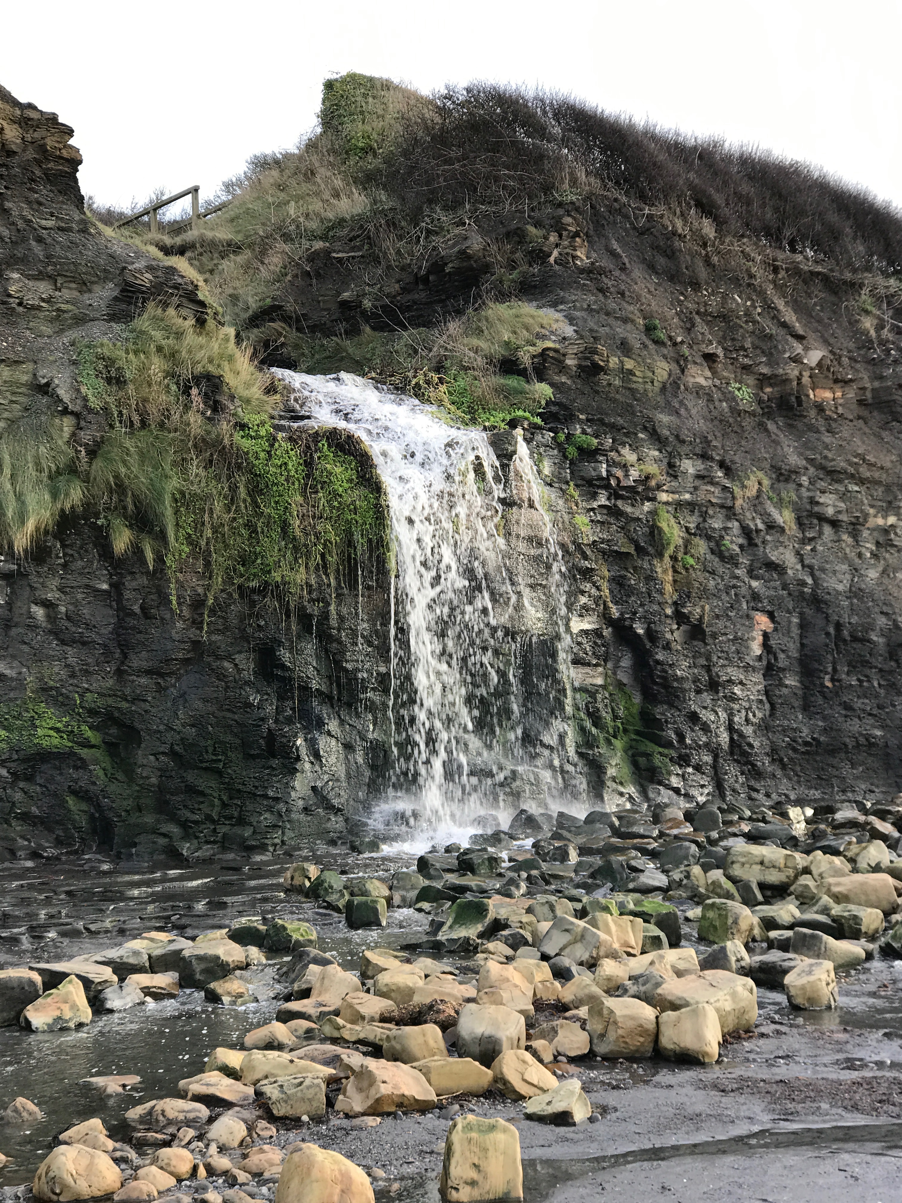 Fossils found at Kimmeridge Bay