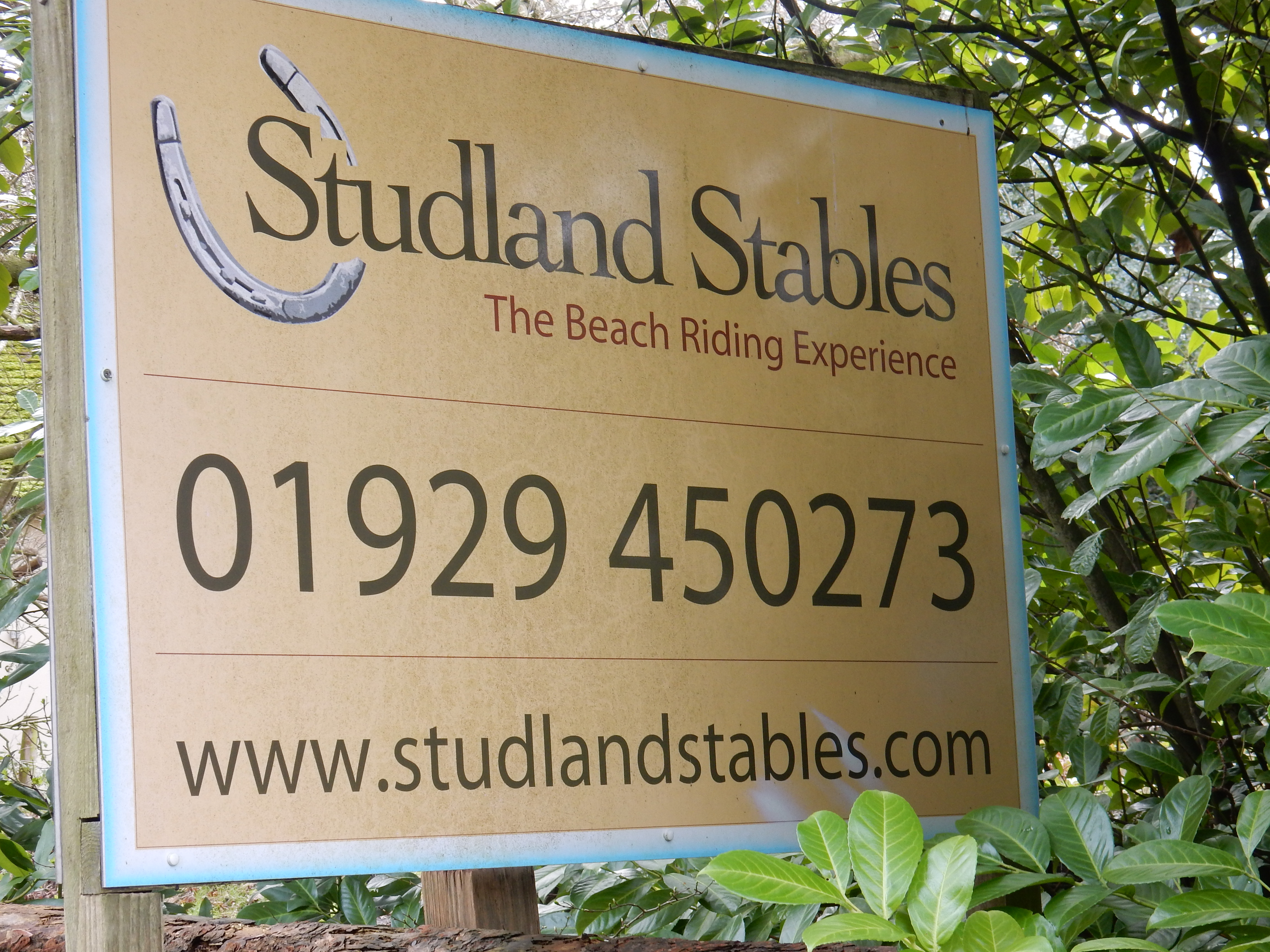 Studland Stables 