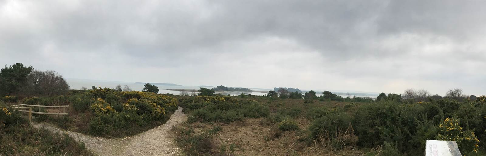 Arne_RSPB Arne_RSPB
